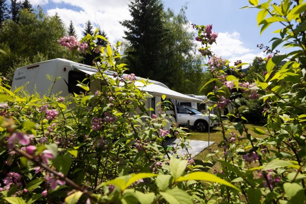 confort camping car fleurs