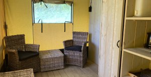 safari salon intrieur