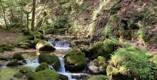 camping en bord de riviere haute loire