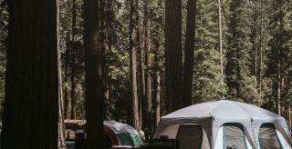 bois camping