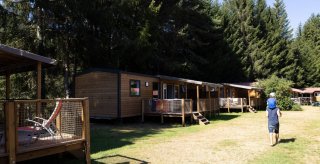 830 editeur page bloc element tribu vus ensemble 1797x839