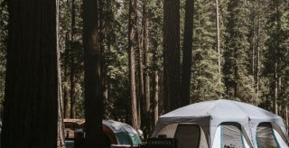 904 editeur page bloc element bois camping 960x492