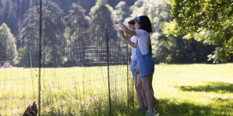 developpement durable camping haute loire